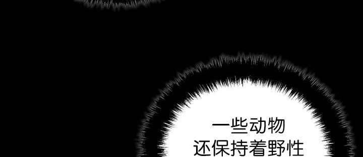 《旷野之息》漫画最新章节第78话免费下拉式在线观看章节第【89】张图片