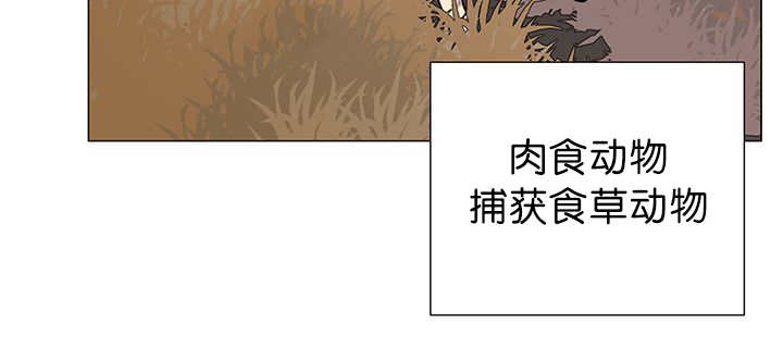 《旷野之息》漫画最新章节第11话免费下拉式在线观看章节第【65】张图片