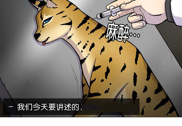 《旷野之息》漫画最新章节第1话免费下拉式在线观看章节第【23】张图片