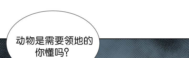 《旷野之息》漫画最新章节第52话免费下拉式在线观看章节第【77】张图片