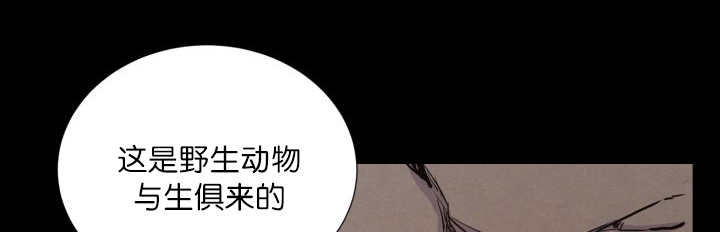 《旷野之息》漫画最新章节第59话免费下拉式在线观看章节第【1】张图片