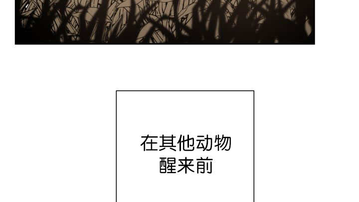 《旷野之息》漫画最新章节第85话免费下拉式在线观看章节第【43】张图片