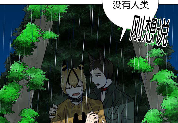 《旷野之息》漫画最新章节第7话免费下拉式在线观看章节第【7】张图片