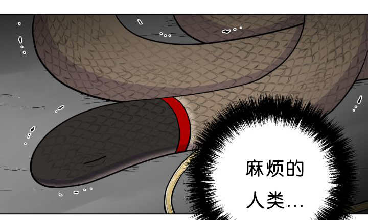 《旷野之息》漫画最新章节第39话免费下拉式在线观看章节第【81】张图片