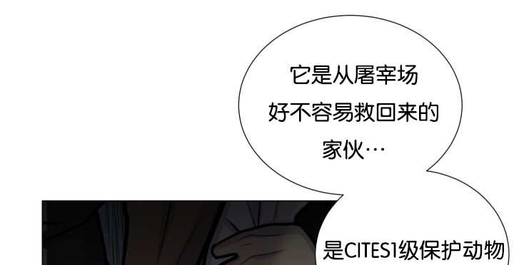 《旷野之息》漫画最新章节第36话免费下拉式在线观看章节第【113】张图片