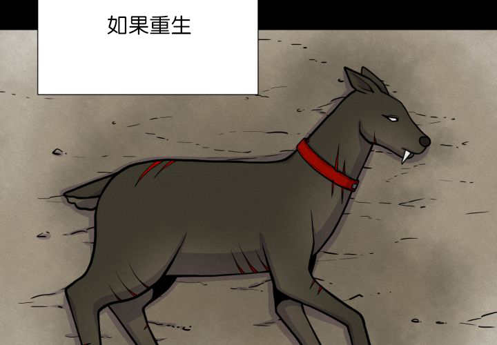 《旷野之息》漫画最新章节第66话免费下拉式在线观看章节第【5】张图片