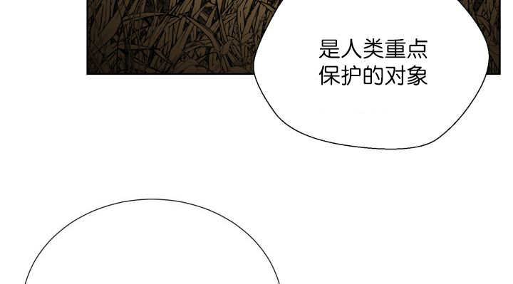 《旷野之息》漫画最新章节第64话免费下拉式在线观看章节第【63】张图片