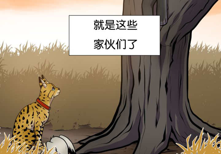 《旷野之息》漫画最新章节第44话免费下拉式在线观看章节第【23】张图片