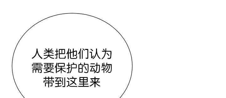 《旷野之息》漫画最新章节第3话免费下拉式在线观看章节第【49】张图片