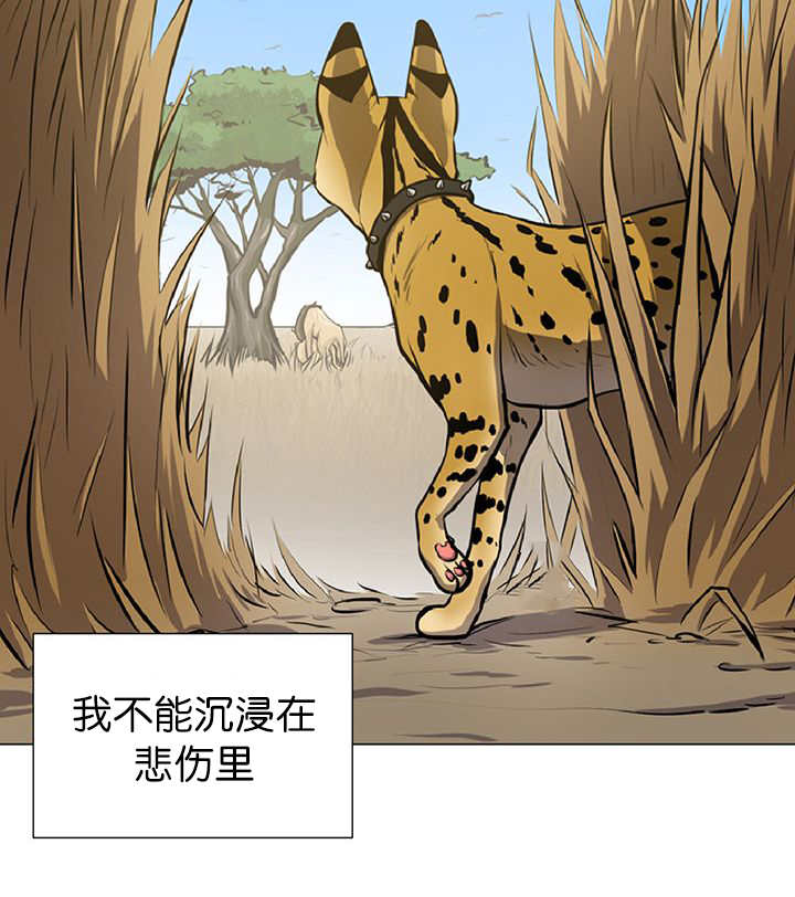 《旷野之息》漫画最新章节第11话免费下拉式在线观看章节第【79】张图片