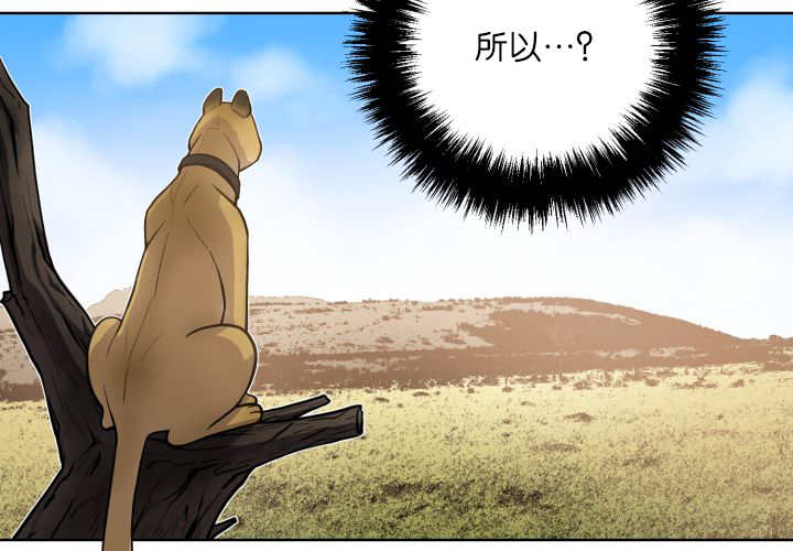 《旷野之息》漫画最新章节第58话免费下拉式在线观看章节第【3】张图片