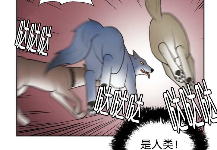 《旷野之息》漫画最新章节第80话免费下拉式在线观看章节第【75】张图片