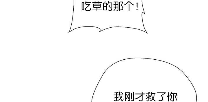 《旷野之息》漫画最新章节第73话免费下拉式在线观看章节第【5】张图片