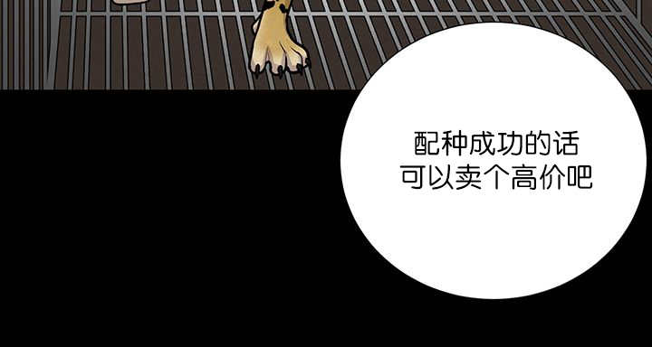 《旷野之息》漫画最新章节第1话免费下拉式在线观看章节第【63】张图片