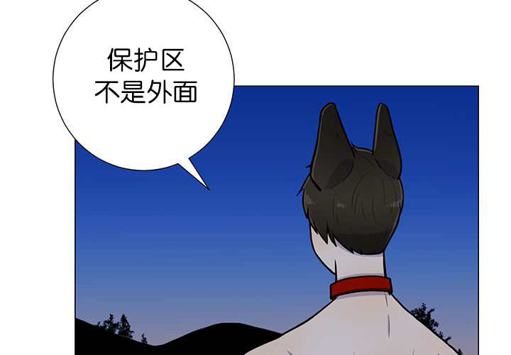 《旷野之息》漫画最新章节第3话免费下拉式在线观看章节第【63】张图片