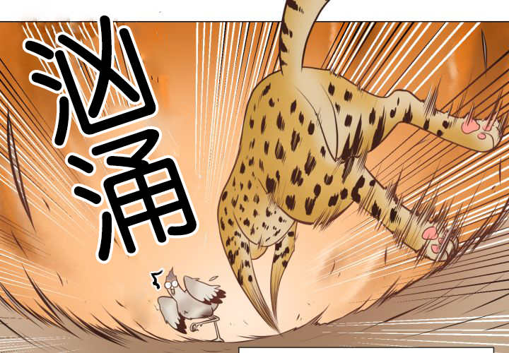 《旷野之息》漫画最新章节第43话免费下拉式在线观看章节第【101】张图片