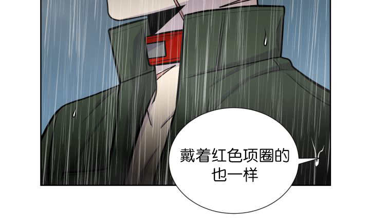 《旷野之息》漫画最新章节第61话免费下拉式在线观看章节第【17】张图片