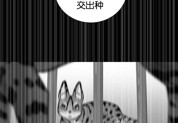 《旷野之息》漫画最新章节第49话免费下拉式在线观看章节第【29】张图片