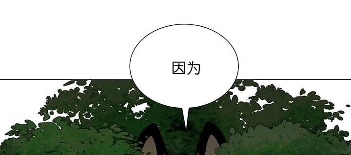 《旷野之息》漫画最新章节第20话免费下拉式在线观看章节第【59】张图片