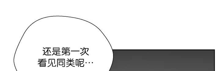 《旷野之息》漫画最新章节第68话免费下拉式在线观看章节第【43】张图片