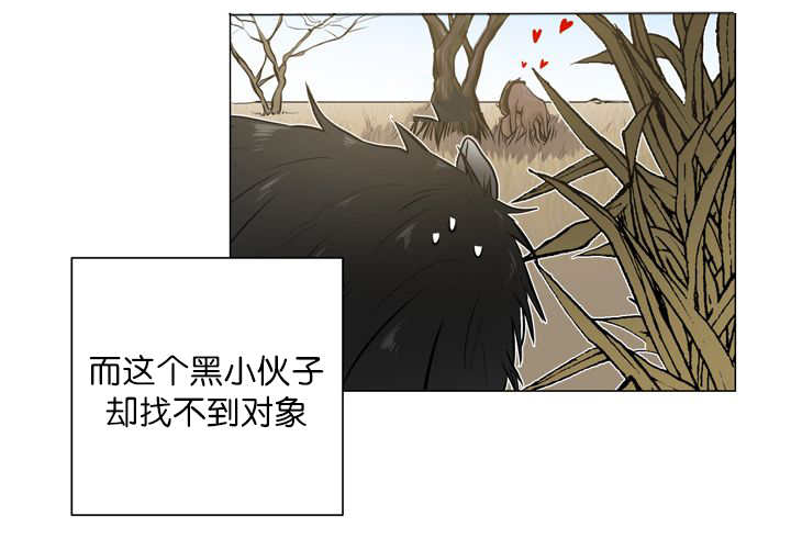 《旷野之息》漫画最新章节第12话免费下拉式在线观看章节第【11】张图片