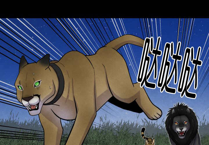 《旷野之息》漫画最新章节第53话免费下拉式在线观看章节第【75】张图片