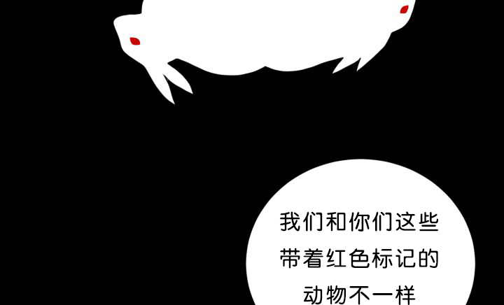 《旷野之息》漫画最新章节第39话免费下拉式在线观看章节第【23】张图片