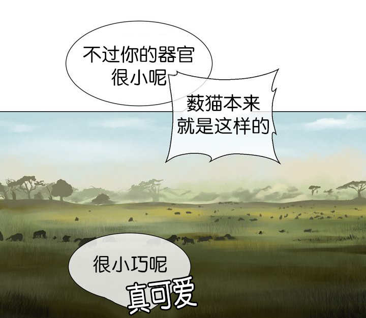 《旷野之息》漫画最新章节第13话免费下拉式在线观看章节第【25】张图片