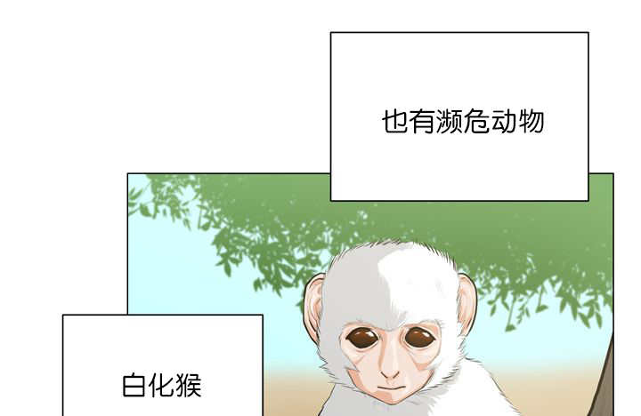 《旷野之息》漫画最新章节第11话免费下拉式在线观看章节第【97】张图片