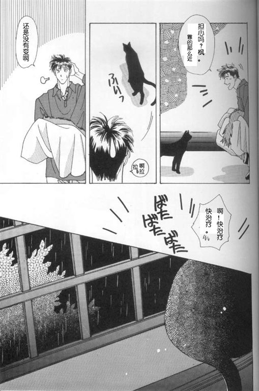 《我的小猫》漫画最新章节第5话免费下拉式在线观看章节第【3】张图片