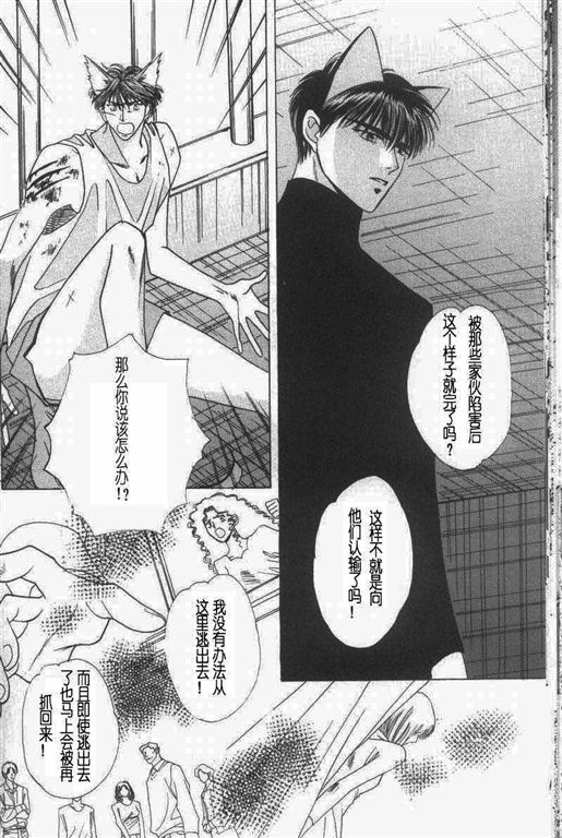 《我的小猫》漫画最新章节第11话免费下拉式在线观看章节第【21】张图片