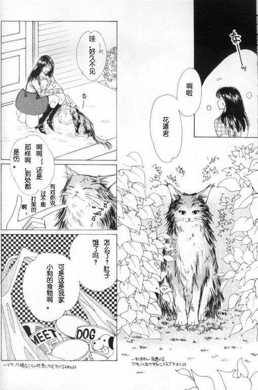 《我的小猫》漫画最新章节第2话免费下拉式在线观看章节第【4】张图片