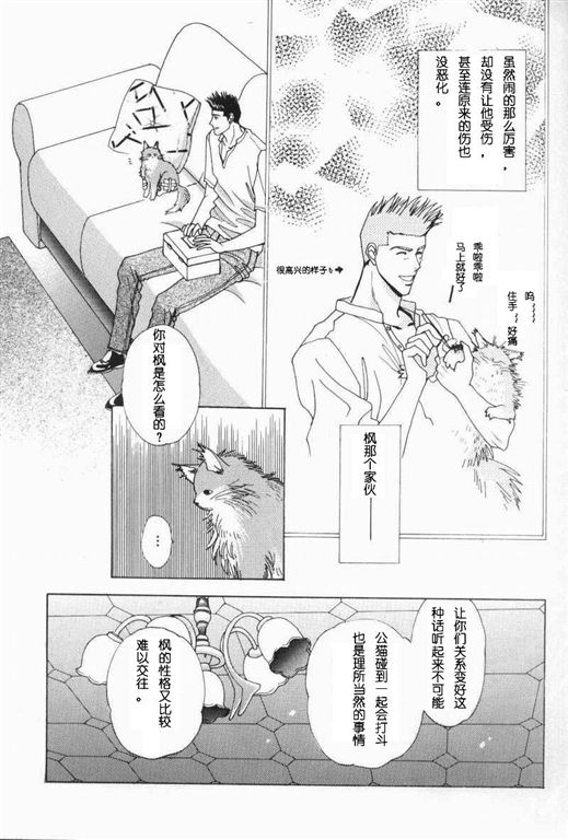 《我的小猫》漫画最新章节第10话免费下拉式在线观看章节第【8】张图片