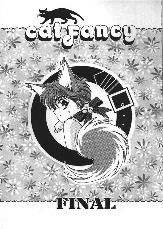 《我的小猫》漫画最新章节第11话免费下拉式在线观看章节第【2】张图片