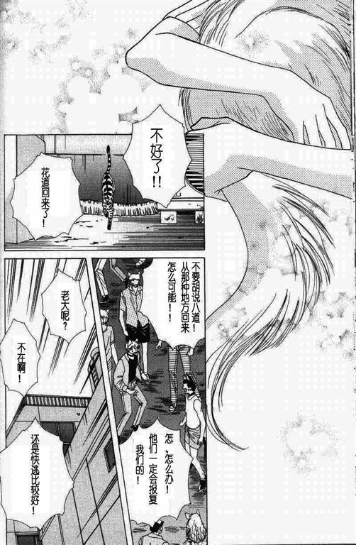 《我的小猫》漫画最新章节第11话免费下拉式在线观看章节第【61】张图片