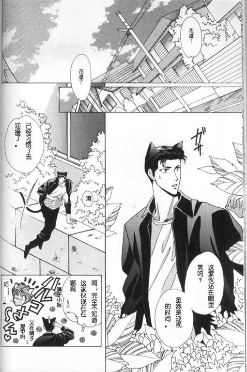 《我的小猫》漫画最新章节第2话免费下拉式在线观看章节第【32】张图片