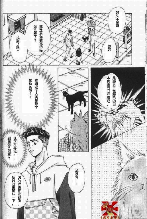 《我的小猫》漫画最新章节第11话免费下拉式在线观看章节第【47】张图片