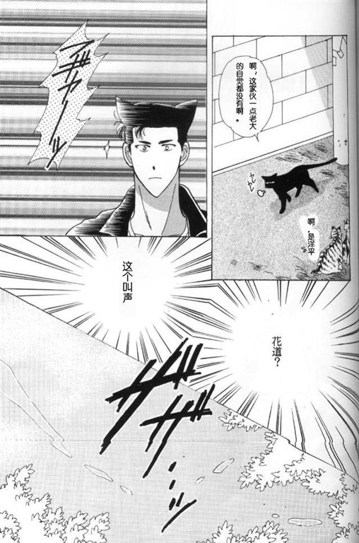 《我的小猫》漫画最新章节第2话免费下拉式在线观看章节第【33】张图片