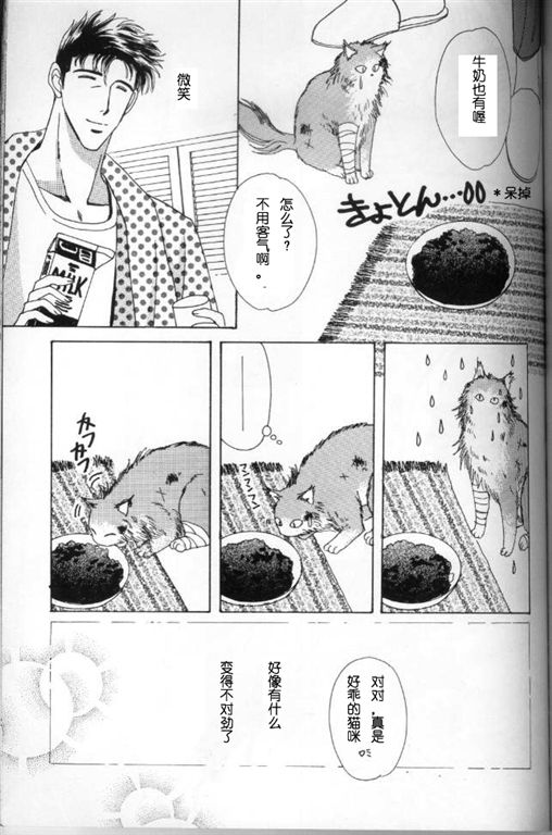 《我的小猫》漫画最新章节第5话免费下拉式在线观看章节第【13】张图片