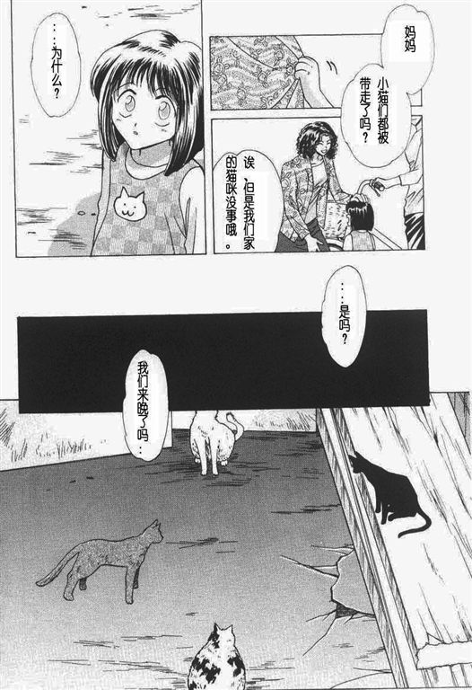 《我的小猫》漫画最新章节第11话免费下拉式在线观看章节第【4】张图片