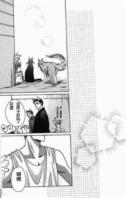 《我的小猫》漫画最新章节第11话免费下拉式在线观看章节第【78】张图片