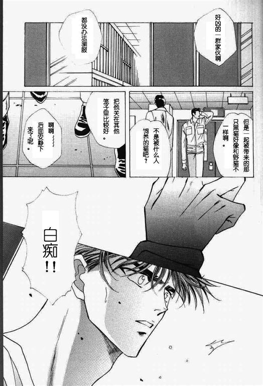 《我的小猫》漫画最新章节第11话免费下拉式在线观看章节第【16】张图片
