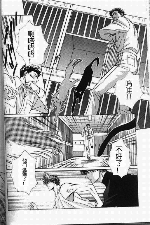 《我的小猫》漫画最新章节第11话免费下拉式在线观看章节第【35】张图片