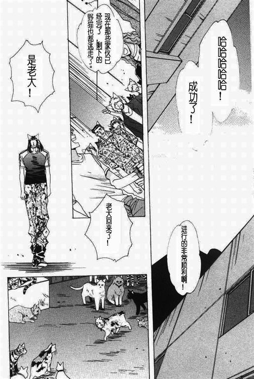 《我的小猫》漫画最新章节第11话免费下拉式在线观看章节第【7】张图片