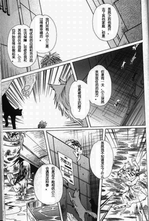 《我的小猫》漫画最新章节第11话免费下拉式在线观看章节第【72】张图片