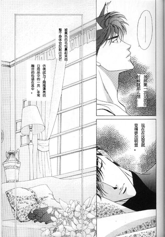 《我的小猫》漫画最新章节第8话免费下拉式在线观看章节第【10】张图片