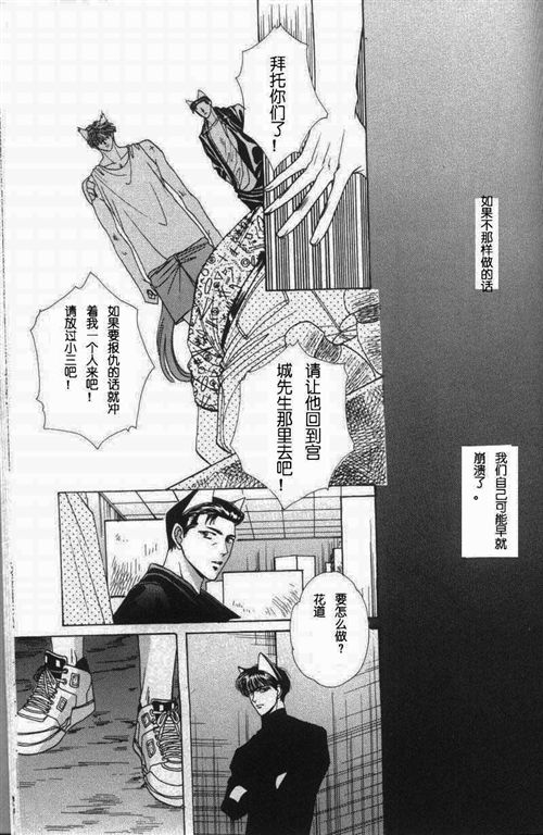 《我的小猫》漫画最新章节第11话免费下拉式在线观看章节第【74】张图片