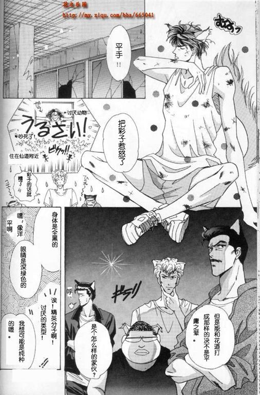 《我的小猫》漫画最新章节第1话免费下拉式在线观看章节第【17】张图片