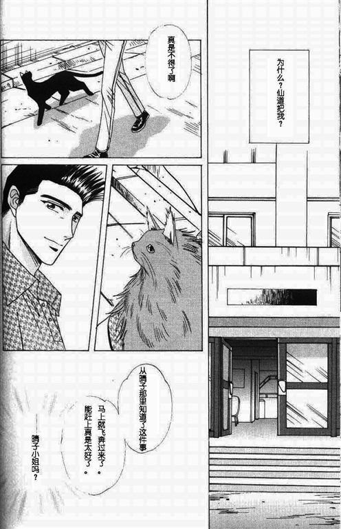 《我的小猫》漫画最新章节第11话免费下拉式在线观看章节第【39】张图片