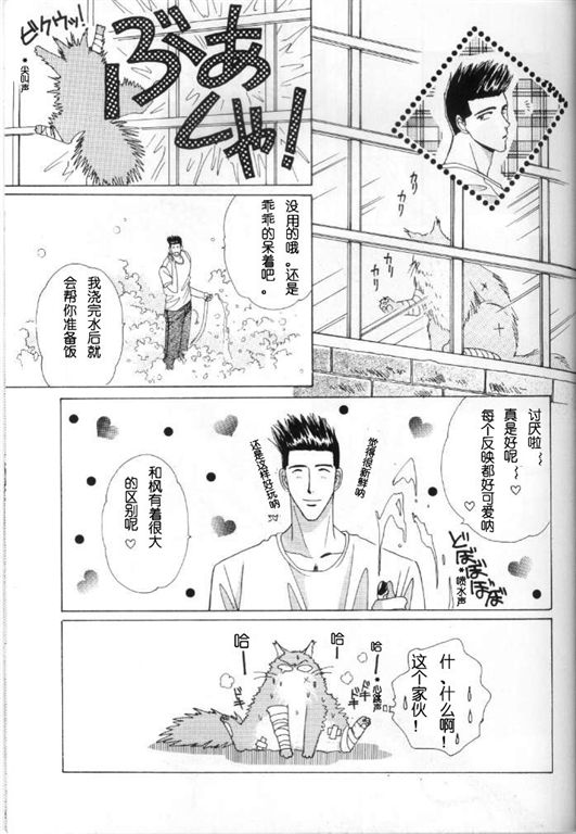 《我的小猫》漫画最新章节第8话免费下拉式在线观看章节第【8】张图片